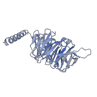 36144_8jbf_D_v1-0
Senktide bound to active human neurokinin 3 receptor in complex with Gq