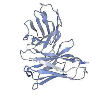 36144_8jbf_E_v1-0
Senktide bound to active human neurokinin 3 receptor in complex with Gq