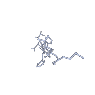 36145_8jbg_A_v1-0
Neurokinin B bound to active human neurokinin 3 receptor in complex with Gq