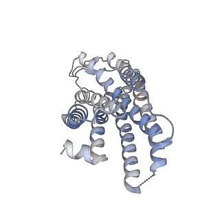 36145_8jbg_B_v1-0
Neurokinin B bound to active human neurokinin 3 receptor in complex with Gq