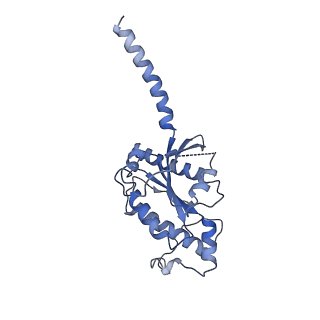 36145_8jbg_C_v1-0
Neurokinin B bound to active human neurokinin 3 receptor in complex with Gq