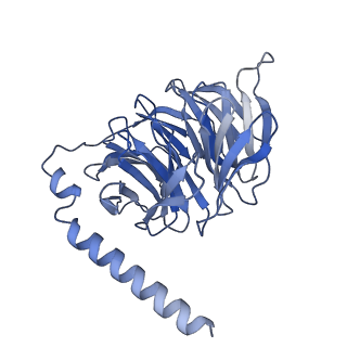 36145_8jbg_D_v1-0
Neurokinin B bound to active human neurokinin 3 receptor in complex with Gq