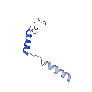 36145_8jbg_G_v1-0
Neurokinin B bound to active human neurokinin 3 receptor in complex with Gq