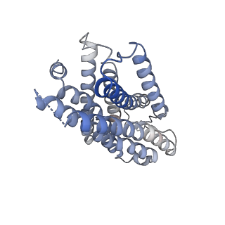 36146_8jbh_B_v1-0
Substance P bound to active human neurokinin 3 receptor in complex with Gq