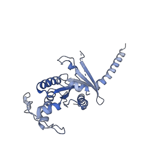 36146_8jbh_C_v1-0
Substance P bound to active human neurokinin 3 receptor in complex with Gq