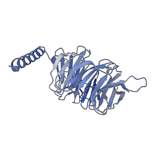 36146_8jbh_D_v1-0
Substance P bound to active human neurokinin 3 receptor in complex with Gq