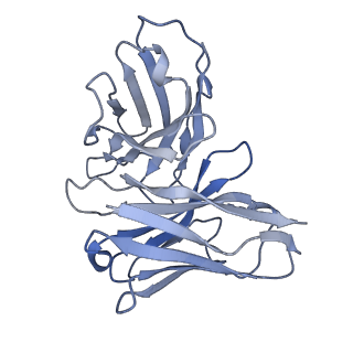 36146_8jbh_E_v1-0
Substance P bound to active human neurokinin 3 receptor in complex with Gq