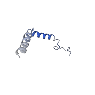 36146_8jbh_G_v1-0
Substance P bound to active human neurokinin 3 receptor in complex with Gq