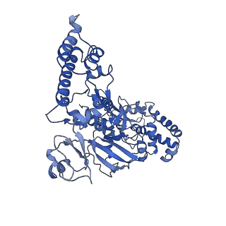 6404_3jb7_B_v1-4
In situ structures of the segmented genome and RNA polymerase complex inside a dsRNA virus