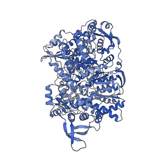 6408_3jb6_A_v1-4
In situ structures of the segmented genome and RNA polymerase complex inside a dsRNA virus