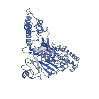 6408_3jb6_B_v1-4
In situ structures of the segmented genome and RNA polymerase complex inside a dsRNA virus