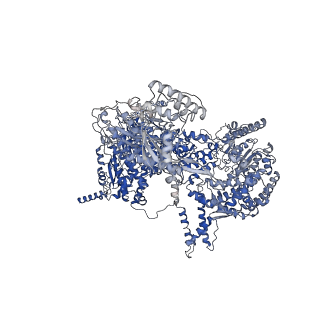6413_3jb9_A_v1-1
Cryo-EM structure of the yeast spliceosome at 3.6 angstrom resolution