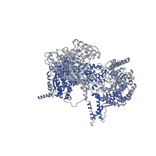 6413_3jb9_A_v2-1
Cryo-EM structure of the yeast spliceosome at 3.6 angstrom resolution