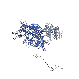6413_3jb9_B_v1-1
Cryo-EM structure of the yeast spliceosome at 3.6 angstrom resolution
