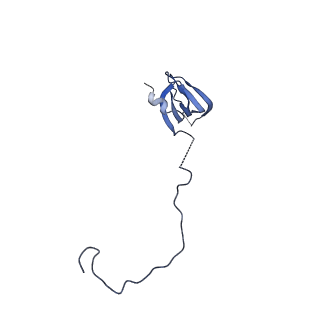 6413_3jb9_E_v1-1
Cryo-EM structure of the yeast spliceosome at 3.6 angstrom resolution