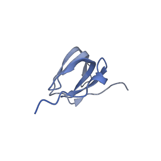 6413_3jb9_J_v2-1
Cryo-EM structure of the yeast spliceosome at 3.6 angstrom resolution