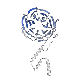 6413_3jb9_K_v2-1
Cryo-EM structure of the yeast spliceosome at 3.6 angstrom resolution