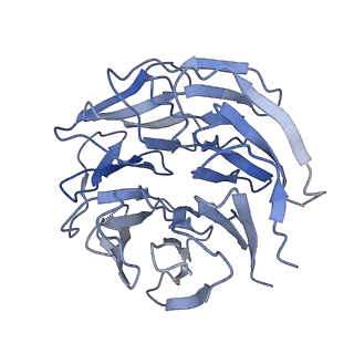 6413_3jb9_L_v1-1
Cryo-EM structure of the yeast spliceosome at 3.6 angstrom resolution