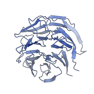 6413_3jb9_L_v2-1
Cryo-EM structure of the yeast spliceosome at 3.6 angstrom resolution