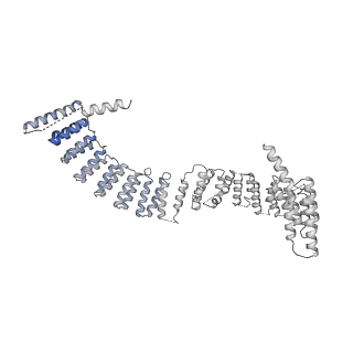 6413_3jb9_R_v2-1
Cryo-EM structure of the yeast spliceosome at 3.6 angstrom resolution