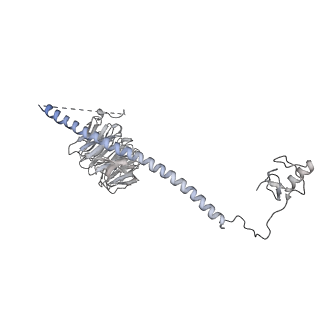 6413_3jb9_U_v1-1
Cryo-EM structure of the yeast spliceosome at 3.6 angstrom resolution
