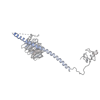 6413_3jb9_U_v2-1
Cryo-EM structure of the yeast spliceosome at 3.6 angstrom resolution