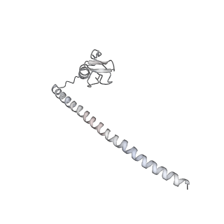 6413_3jb9_V_v2-1
Cryo-EM structure of the yeast spliceosome at 3.6 angstrom resolution