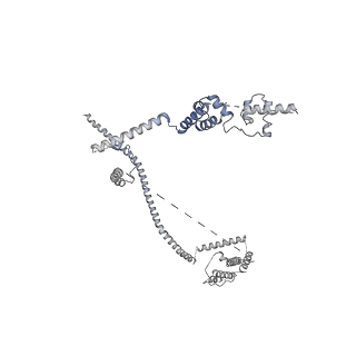 6413_3jb9_W_v1-1
Cryo-EM structure of the yeast spliceosome at 3.6 angstrom resolution