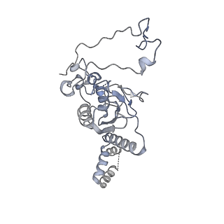 6413_3jb9_Y_v1-1
Cryo-EM structure of the yeast spliceosome at 3.6 angstrom resolution