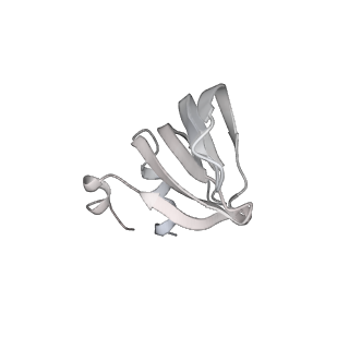 6413_3jb9_Z_v2-1
Cryo-EM structure of the yeast spliceosome at 3.6 angstrom resolution