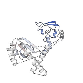 6413_3jb9_a_v1-1
Cryo-EM structure of the yeast spliceosome at 3.6 angstrom resolution