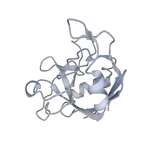 6413_3jb9_d_v1-1
Cryo-EM structure of the yeast spliceosome at 3.6 angstrom resolution