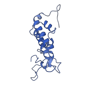 6413_3jb9_e_v1-1
Cryo-EM structure of the yeast spliceosome at 3.6 angstrom resolution