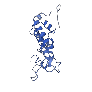 6413_3jb9_e_v2-1
Cryo-EM structure of the yeast spliceosome at 3.6 angstrom resolution