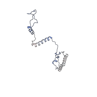 6413_3jb9_g_v2-1
Cryo-EM structure of the yeast spliceosome at 3.6 angstrom resolution