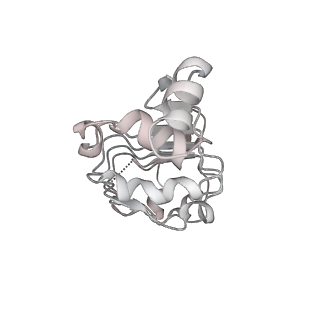 6413_3jb9_j_v1-1
Cryo-EM structure of the yeast spliceosome at 3.6 angstrom resolution