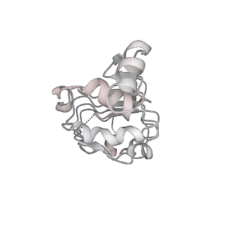 6413_3jb9_j_v2-0
Cryo-EM structure of the yeast spliceosome at 3.6 angstrom resolution