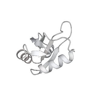 6413_3jb9_k_v1-1
Cryo-EM structure of the yeast spliceosome at 3.6 angstrom resolution