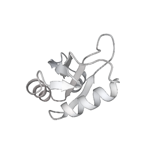 6413_3jb9_k_v2-0
Cryo-EM structure of the yeast spliceosome at 3.6 angstrom resolution