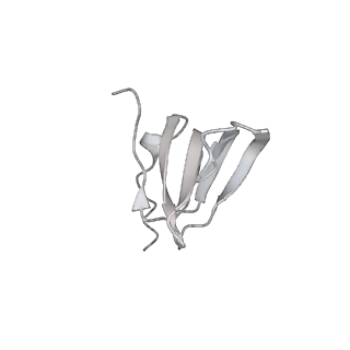 6413_3jb9_o_v2-1
Cryo-EM structure of the yeast spliceosome at 3.6 angstrom resolution