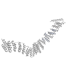 6413_3jb9_r_v2-1
Cryo-EM structure of the yeast spliceosome at 3.6 angstrom resolution