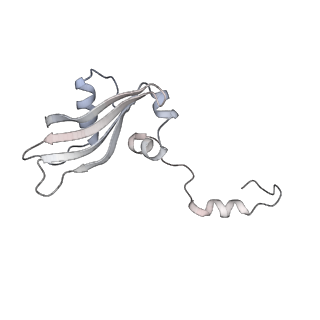 6456_3jbn_1_v1-2
Cryo-electron microscopy reconstruction of the Plasmodium falciparum 80S ribosome bound to P-tRNA