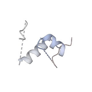 6456_3jbn_2_v1-2
Cryo-electron microscopy reconstruction of the Plasmodium falciparum 80S ribosome bound to P-tRNA