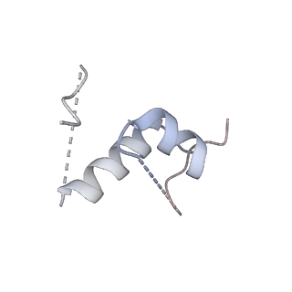 6456_3jbn_2_v1-3
Cryo-electron microscopy reconstruction of the Plasmodium falciparum 80S ribosome bound to P-tRNA