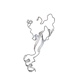 6456_3jbn_3_v1-2
Cryo-electron microscopy reconstruction of the Plasmodium falciparum 80S ribosome bound to P-tRNA