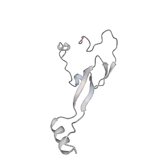 6456_3jbn_3_v1-3
Cryo-electron microscopy reconstruction of the Plasmodium falciparum 80S ribosome bound to P-tRNA