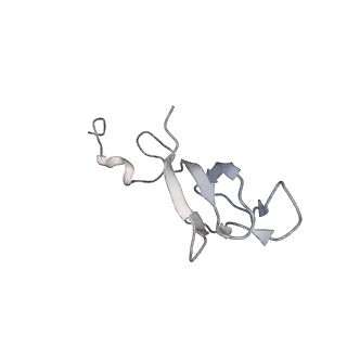 6456_3jbn_4_v1-2
Cryo-electron microscopy reconstruction of the Plasmodium falciparum 80S ribosome bound to P-tRNA