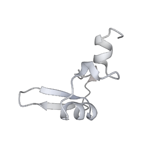 6456_3jbn_A0_v1-2
Cryo-electron microscopy reconstruction of the Plasmodium falciparum 80S ribosome bound to P-tRNA