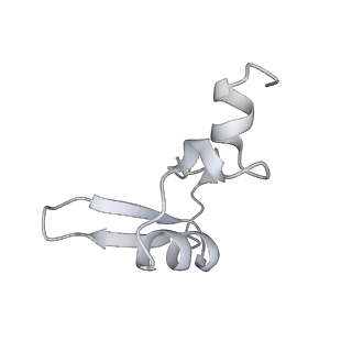 6456_3jbn_A0_v1-3
Cryo-electron microscopy reconstruction of the Plasmodium falciparum 80S ribosome bound to P-tRNA