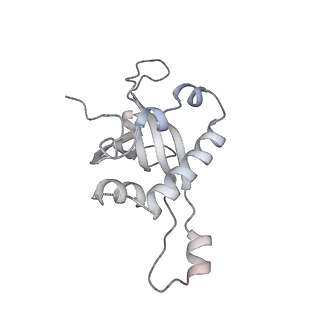 6456_3jbn_A1_v1-2
Cryo-electron microscopy reconstruction of the Plasmodium falciparum 80S ribosome bound to P-tRNA
